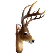 Wall Mount Taxidermy Mule Deer Shoulder Bust
