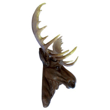Fake Taxidermy North American Moose Shoulder Bust