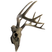 Resin Wall Mount Cabin/Lodge Deer Head Skull Bust