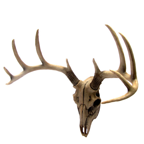 Resin Wall Mount Cabin/Lodge Deer Head Skull Bust