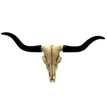 Longhorn Wall Mount Resin Skull w/ Horns