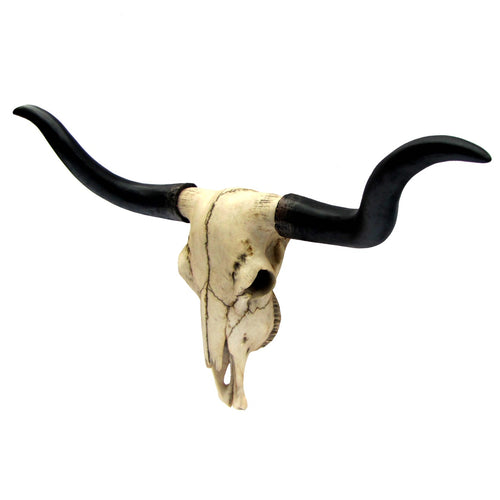 Longhorn Wall Mount Resin Skull w/ Horns