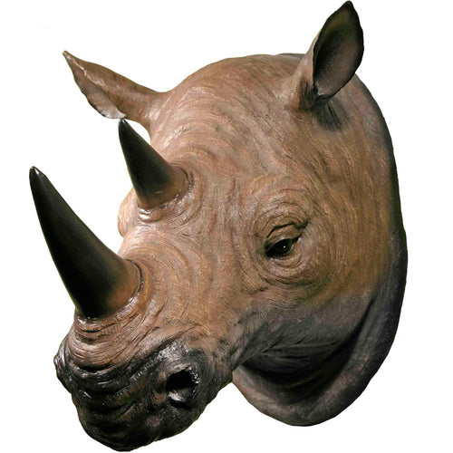 3D Life Size Hanging Wall Mounted African Rhinoceros Head Mount