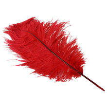 Red Dyed Long Ostrich Wing Feather Plume