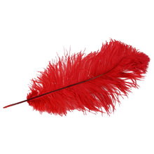 Red Dyed Long Ostrich Wing Feather Plume