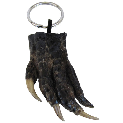 Authentic Taxidermy Alligator Foot Keychain / Keyring