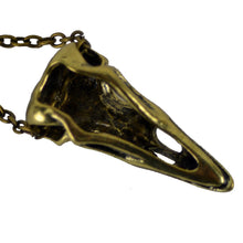 Large Bronze Raven/Bird Skull Steampunk Necklace
