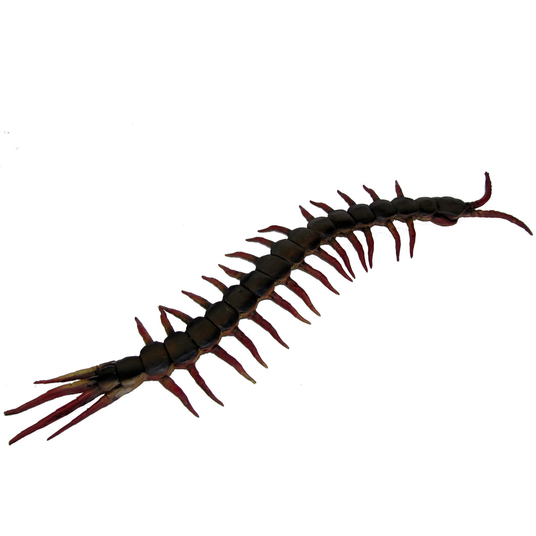 Giant centipede sale toy