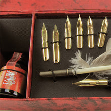 Calligraphy Nibs and Quill Writing Set