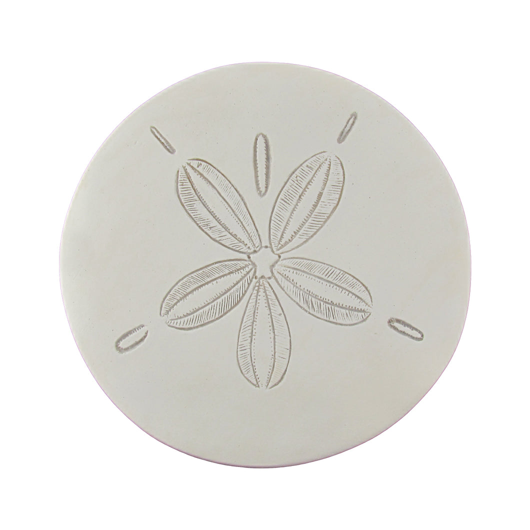 Large Sand Dollar Wall Art