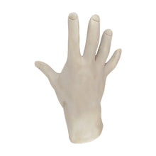 Halloween Set of 3D Adult Size Prop Hands