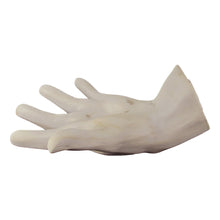 Halloween Set of 3D Adult Size Prop Hands
