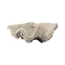 Cast Hippopus Clamshell Home Decor
