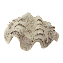 Cast Hippopus Clamshell Home Decor