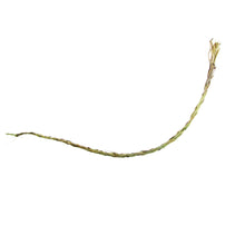 American Organic Smudging Braid Incense Sweetgrass