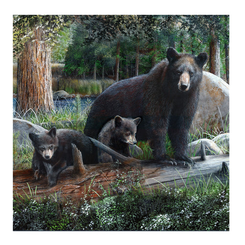 Rustic Black Bear and Cubs 70