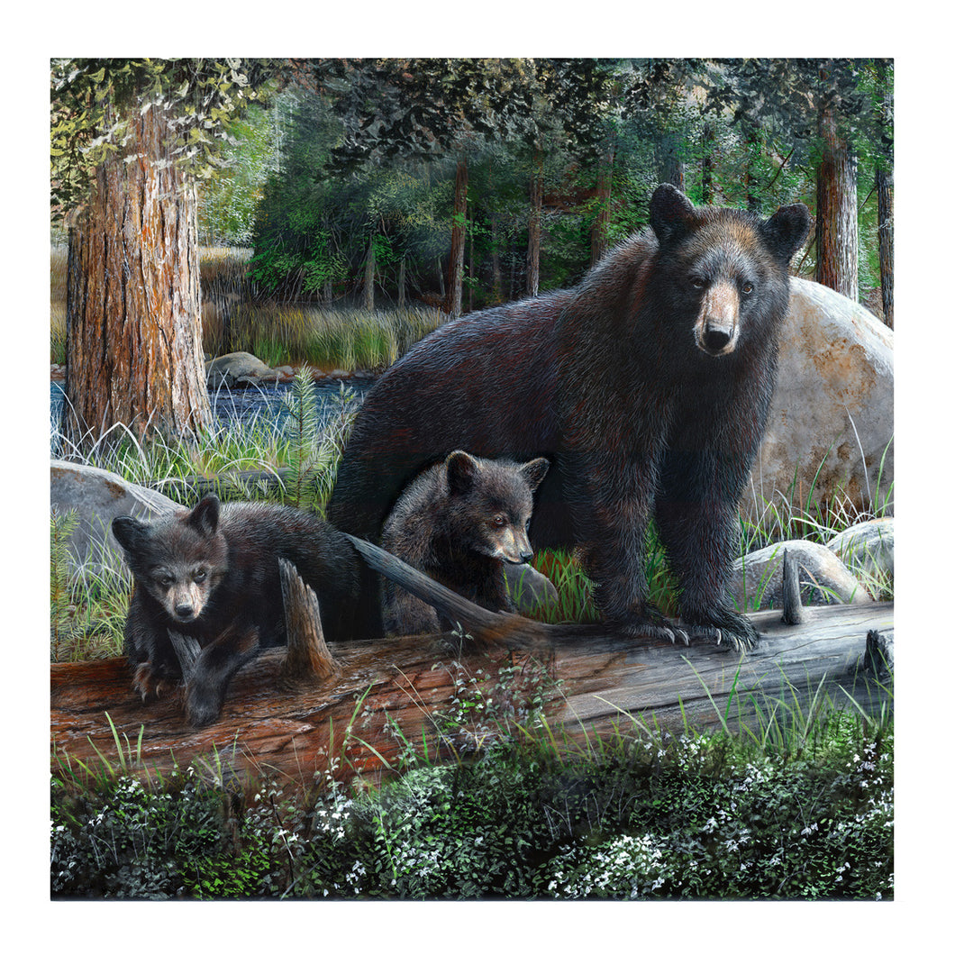 Rustic Black Bear and Cubs 70