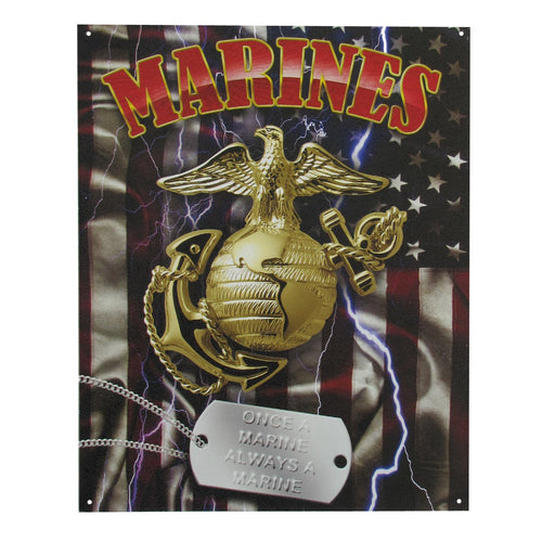 US Military USMC Marine 