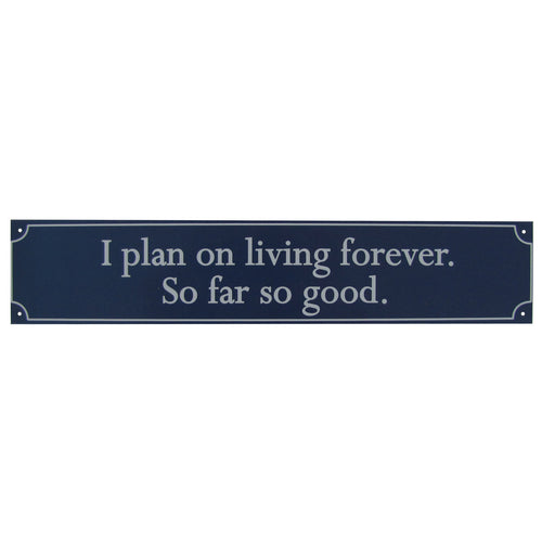 Humorous Motivational Attitude Quote Funny Tin Metal Sign