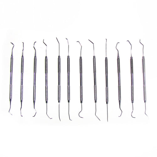 12 Dental Picks Tools Set