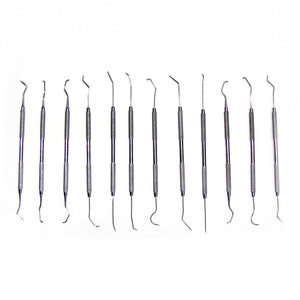 12 Dental Picks Tools Set