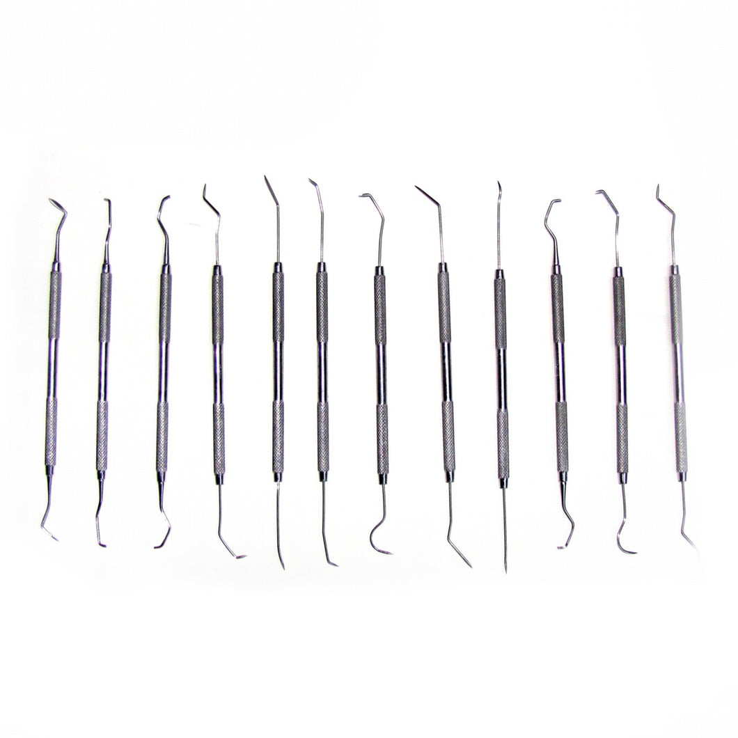 12 Dental Picks Tools Set